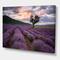 Designart - Lavender Field At Dawn III - Farmhouse Canvas Wall Art Print